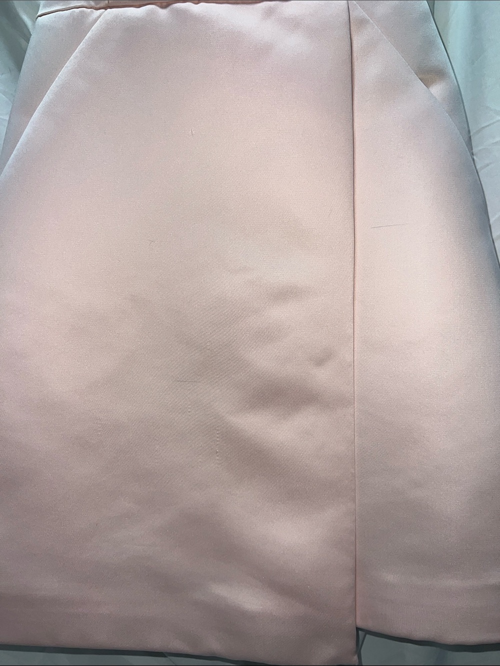 Halston Heritage Blush Pink Dress - Picture 6 of 11